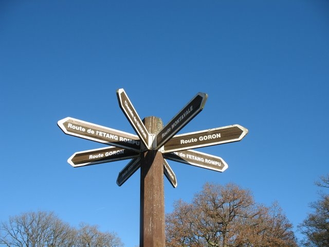 2007 11 Etangs de Hollande 33